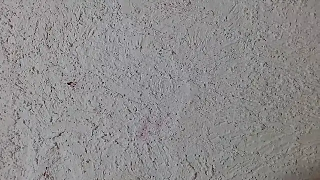 ray and 666 online show from October 23, 7:40 pm