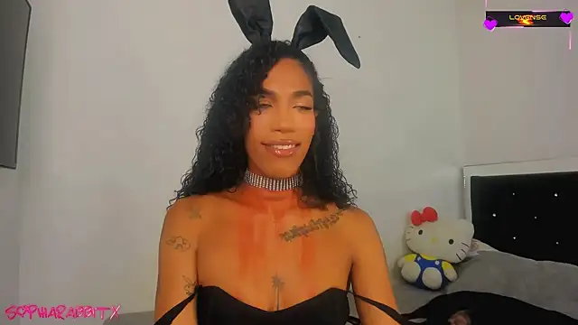 turabbitxx online show from October 31, 4:55 am