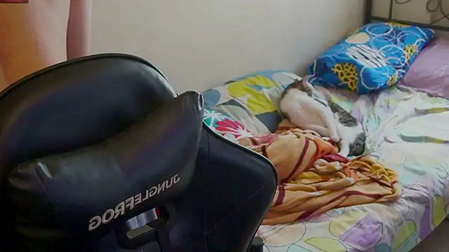 xofix online show from September 20, 8:03 pm