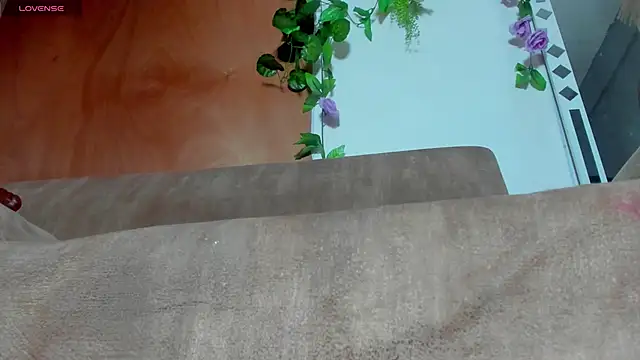 adhara hotter online show from November 7, 8:42 pm