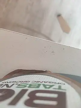 lunaxxxtreme online show from November 11, 12:18 pm