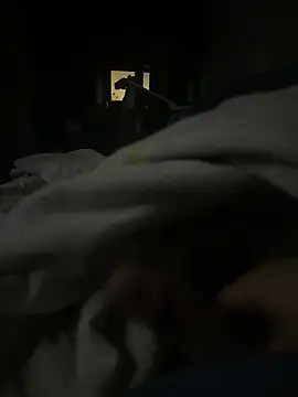 xnxpork online show from January 21, 4:11 am