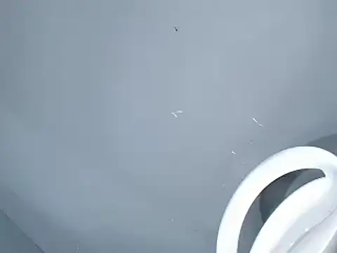 open for sin online show from November 3, 8:02 am