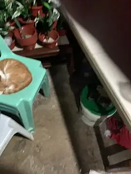 TS-YANNA online show from March 10, 3:26 pm