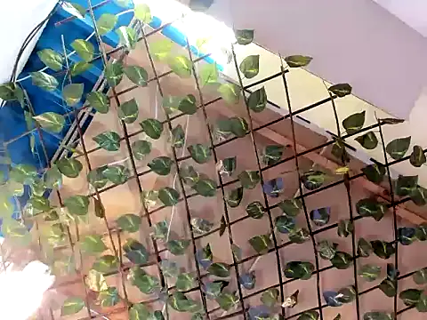 Spicymixxx06 online show from October 4, 7:25 pm