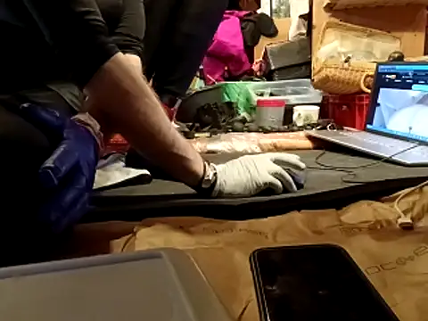 laaralatexxa BDSM online show from March 13, 4:07 am