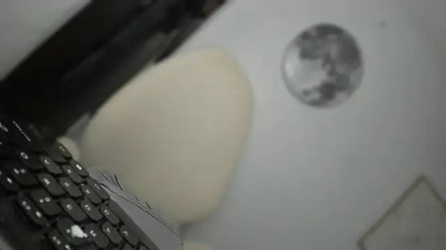 mxshemale ladyboy online show from March 31, 4:31 pm