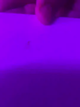 XxDa-Booty-BandiTxX online show from January 13, 5:43 pm