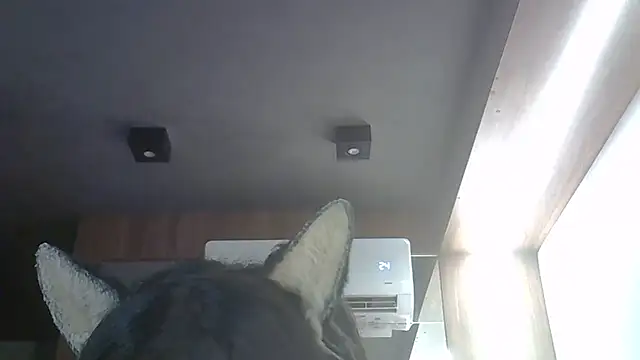 Skinny-Kitten online show from March 21, 12:10 pm